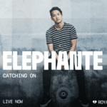 the article of Elephante