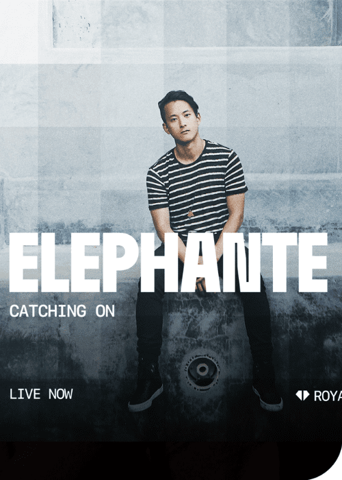 the article of Elephante